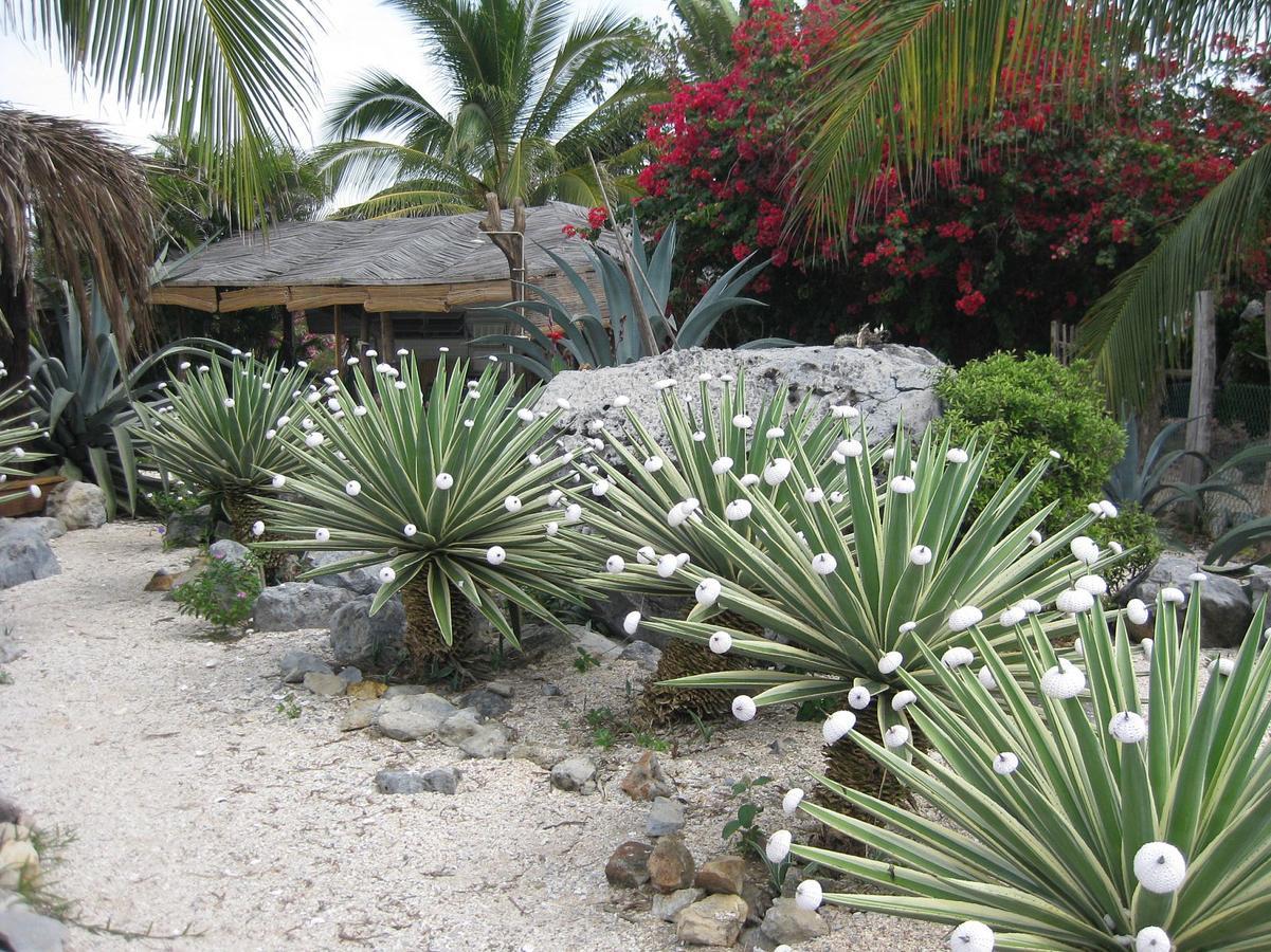 Casa Las Piedras Bed and Breakfast Troncones Buitenkant foto